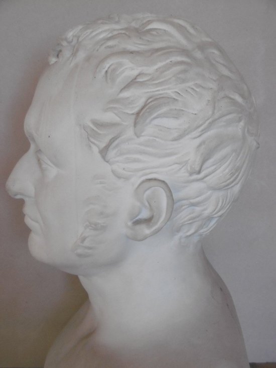Bust Of Baron Dupuytren