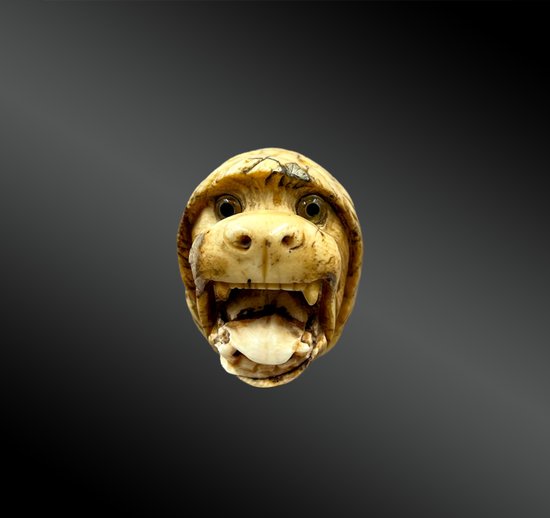POMMEAU de CANNE à la TÊTE de CHIEN - France - fin du XIXème siècle 