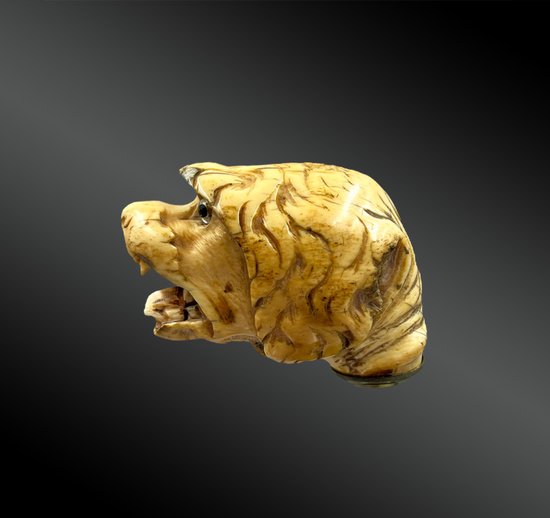 POMMEAU de CANNE à la TÊTE de CHIEN - France - fin du XIXème siècle 