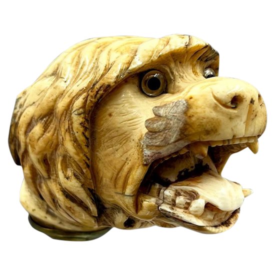 POMMEAU de CANNE à la TÊTE de CHIEN - France - fin du XIXème siècle 