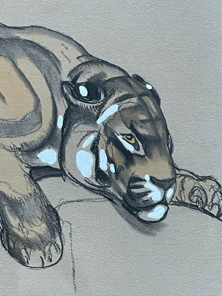 Paul Jouve (1878-1973) “Tigre” – 1920 circa