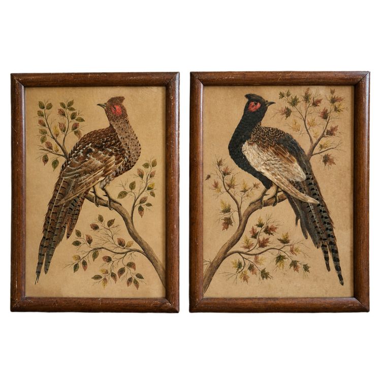 Paire de tableaux naturalistes en plumes véritables représentant des faisans époque Napoléon III