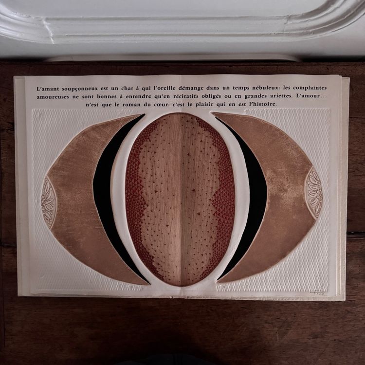 Libro dal cinque al sei di Fiorini, Boni, Piza, Louttre, Dormy n. 15