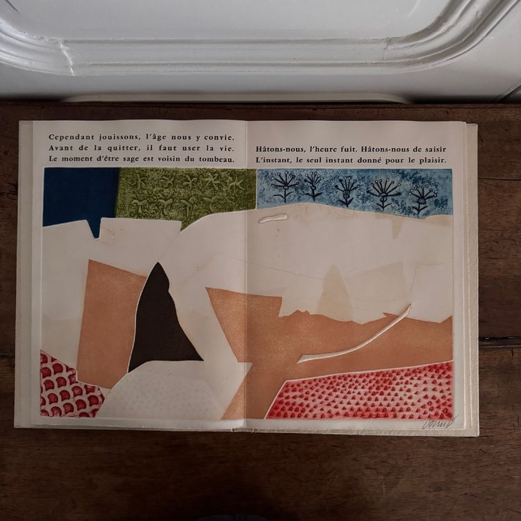 Libro dal cinque al sei di Fiorini, Boni, Piza, Louttre, Dormy n. 15