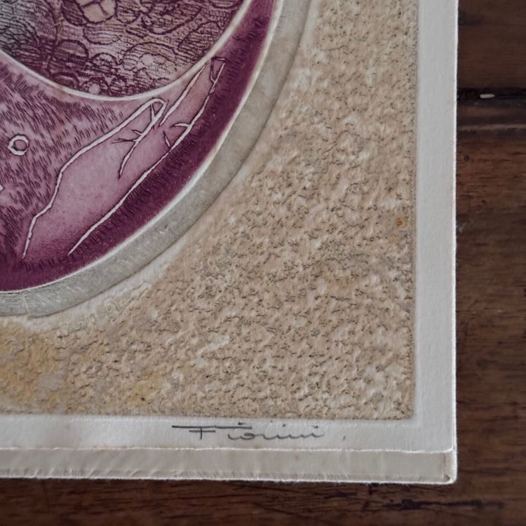 Libro dal cinque al sei di Fiorini, Boni, Piza, Louttre, Dormy n. 15