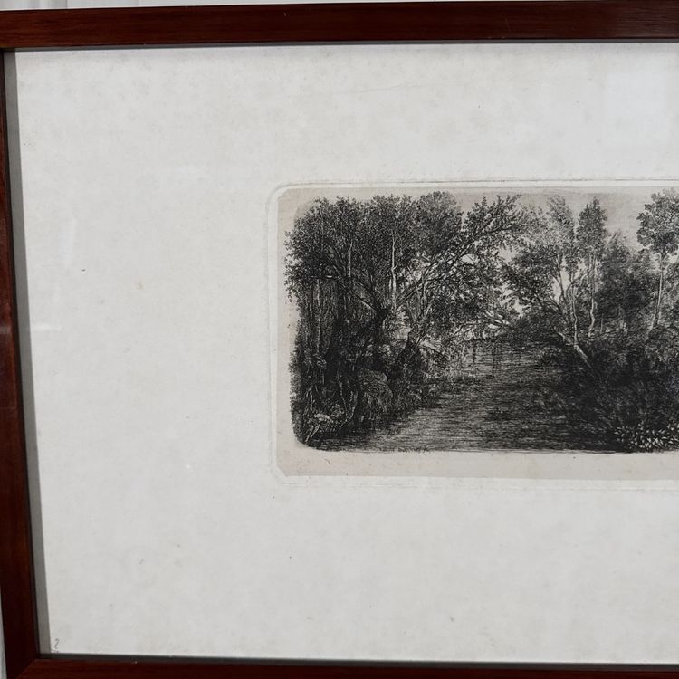 Antike Radierung von Rodolphe Bresdin, Wasserlauf, 19. Jahrhundert