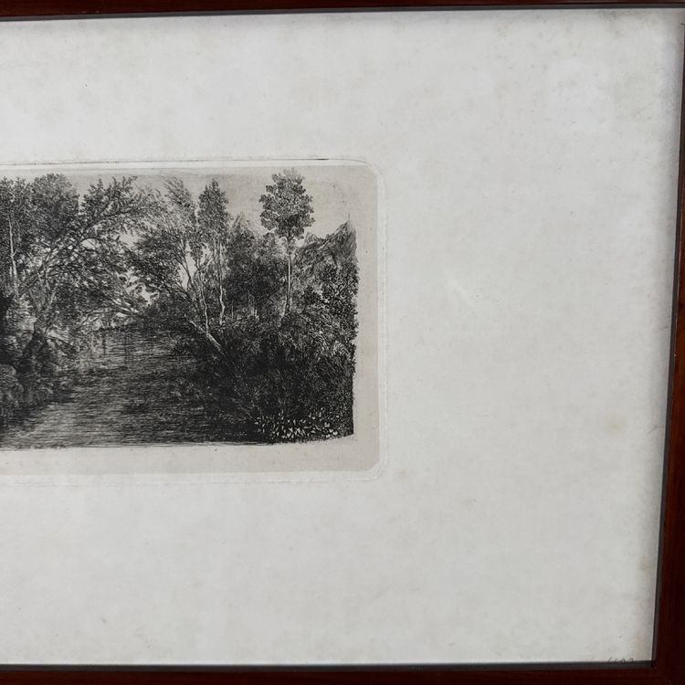 Antike Radierung von Rodolphe Bresdin, Wasserlauf, 19. Jahrhundert