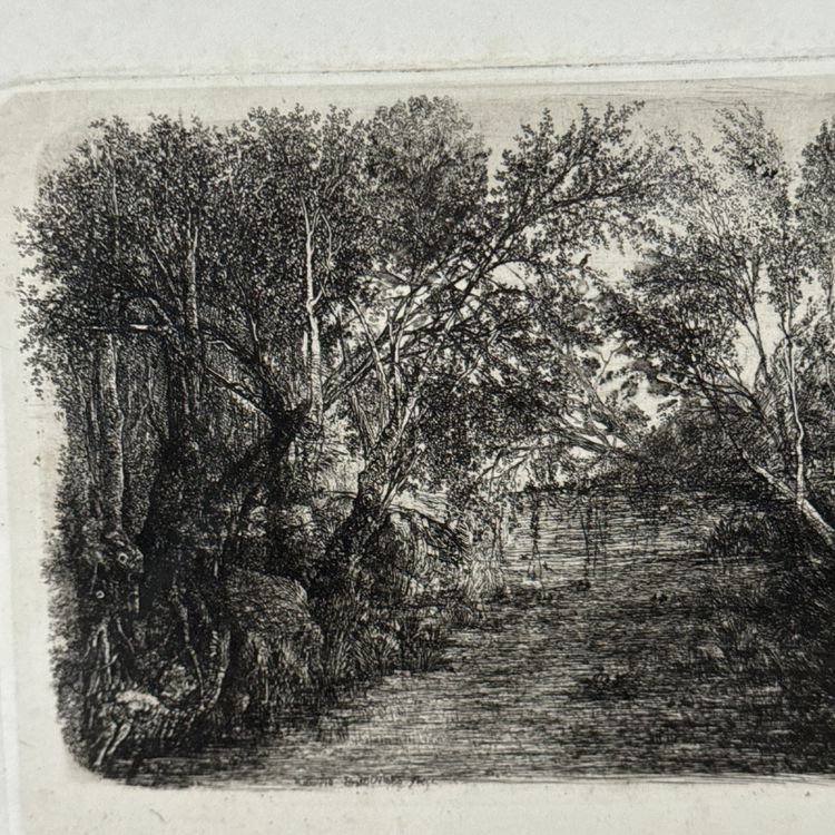 Antike Radierung von Rodolphe Bresdin, Wasserlauf, 19. Jahrhundert