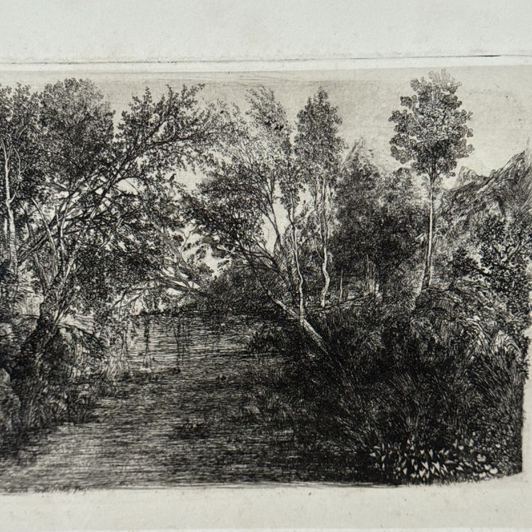 Antike Radierung von Rodolphe Bresdin, Wasserlauf, 19. Jahrhundert