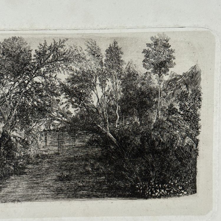Antike Radierung von Rodolphe Bresdin, Wasserlauf, 19. Jahrhundert