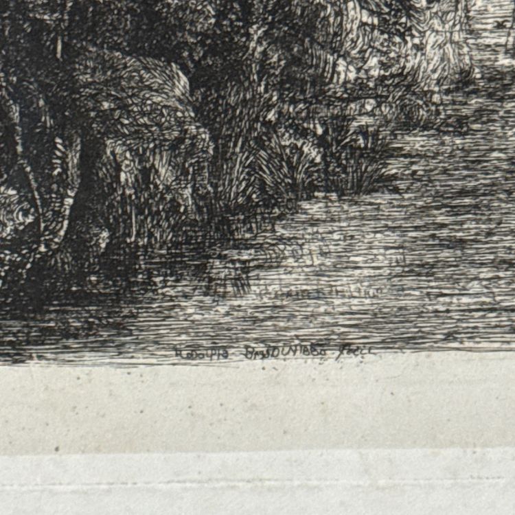 Antike Radierung von Rodolphe Bresdin, Wasserlauf, 19. Jahrhundert