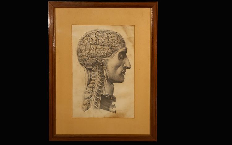 Litografia, Anatomia dell'uomo dopo la borghesia, XIX secolo