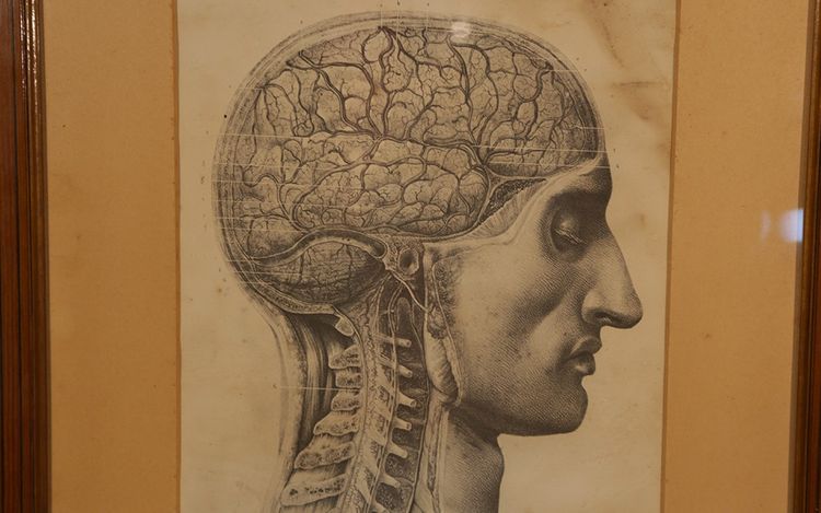 Litografia, Anatomia dell'uomo dopo la borghesia, XIX secolo