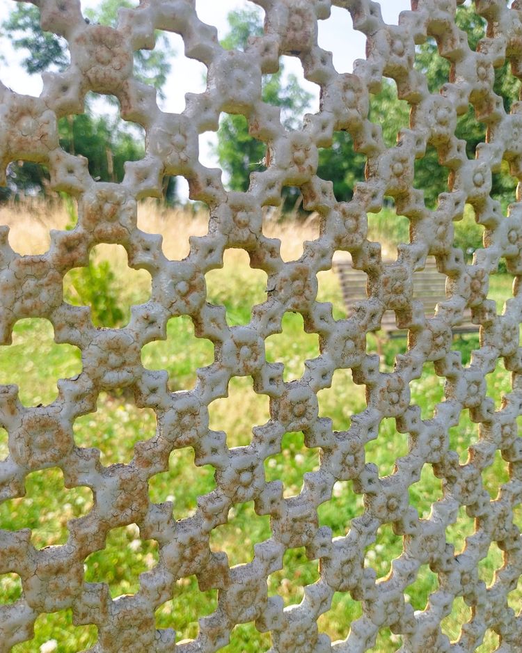 Pair of antique cast iron grilles with floral decoration