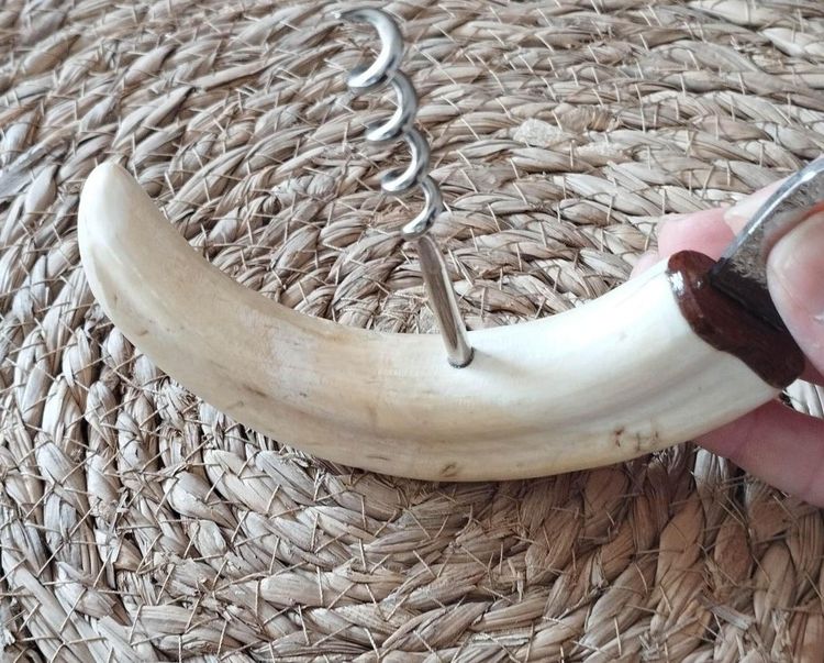 Warthog tusk mounted in a corkscrew shape and bottle opener