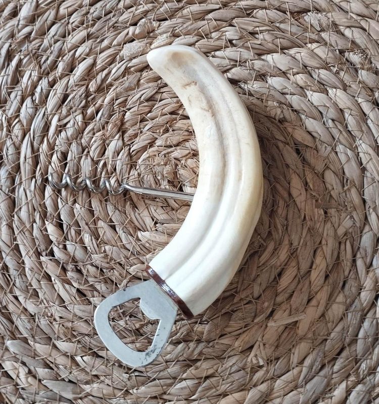 Warthog tusk mounted in a corkscrew shape and bottle opener