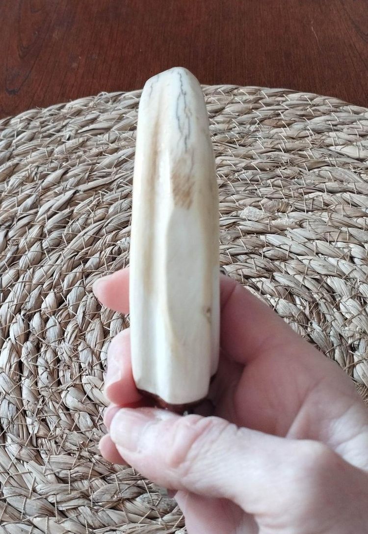 Warthog tusk mounted in a corkscrew shape and bottle opener