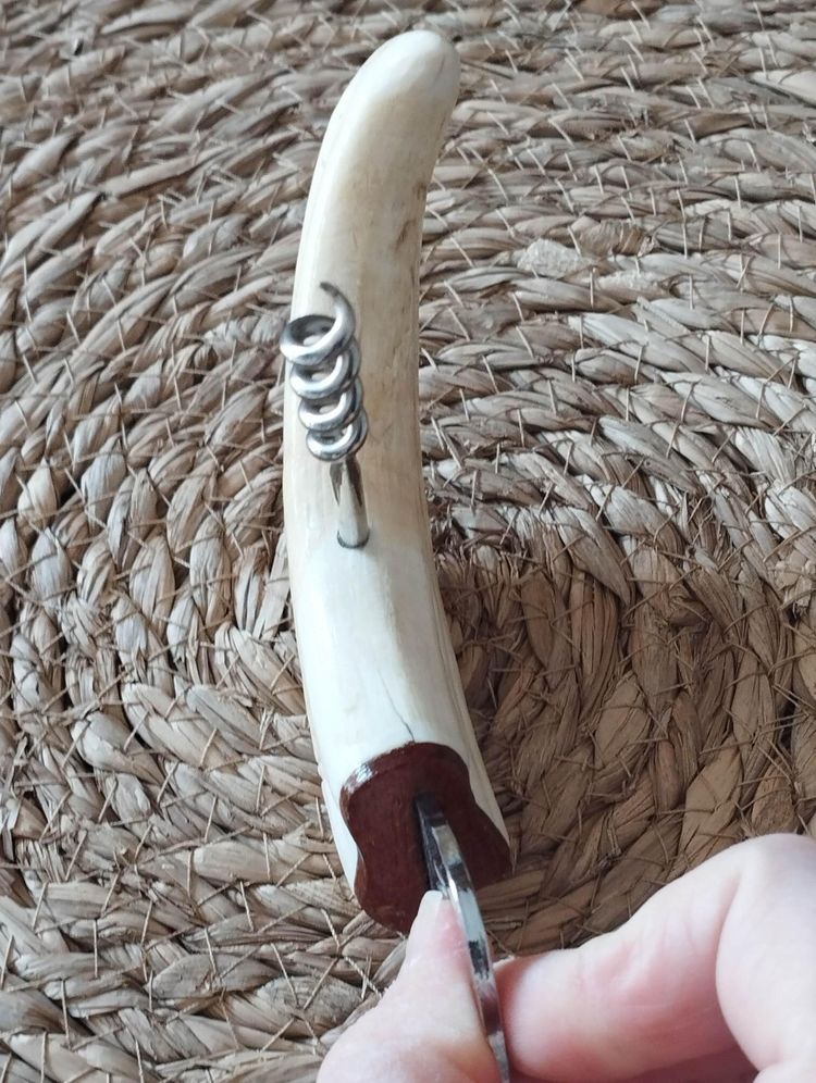 Warthog tusk mounted in a corkscrew shape and bottle opener