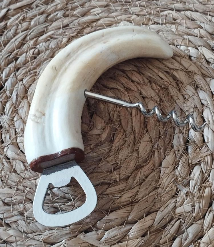 Warthog tusk mounted in a corkscrew shape and bottle opener