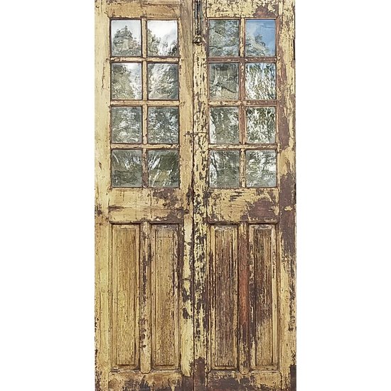 Antique 19th Century Teak Glass Door In Its Original Patina Woodwork Doors