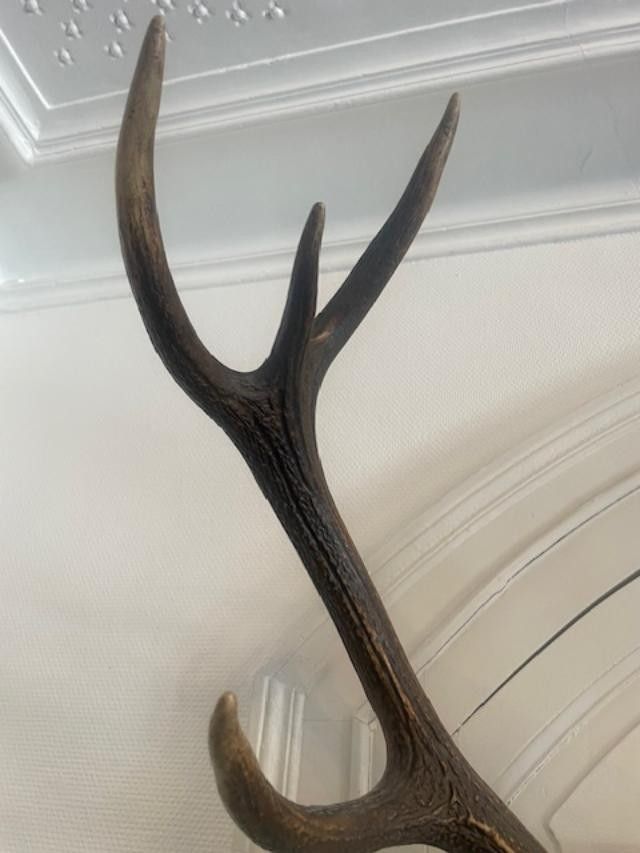 Large deer antler dated 1924