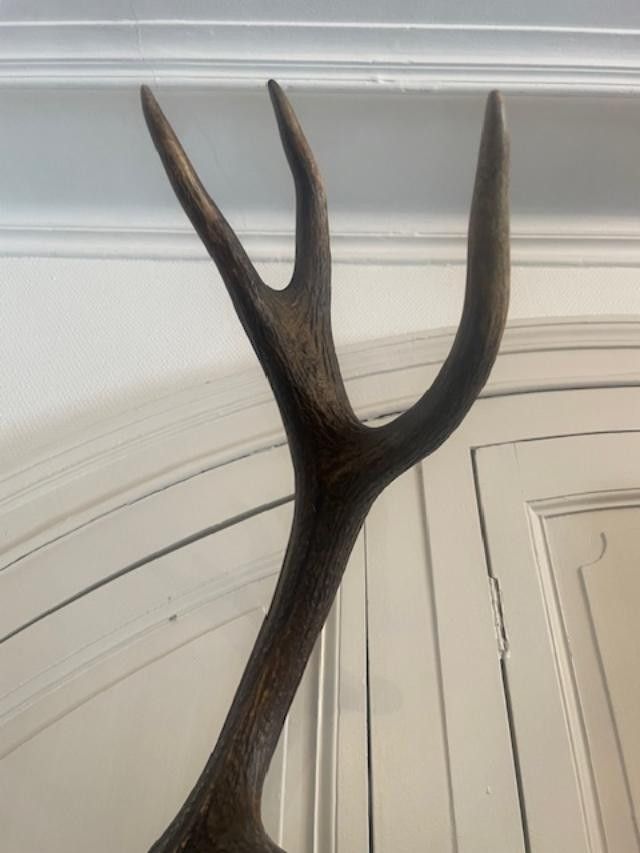 Large deer antler dated 1924