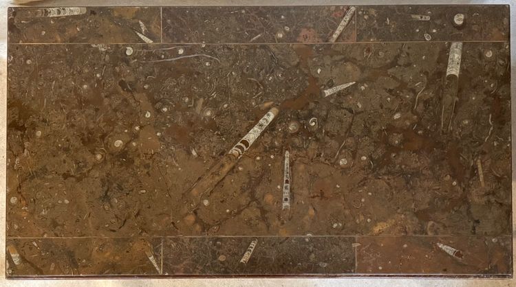 Tavolino da caffè con piano in marmo fossilizzato