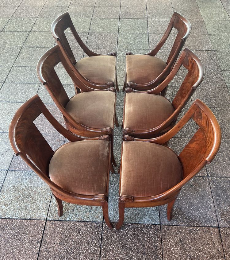 Six varnished mahogany chairs with curved backs.