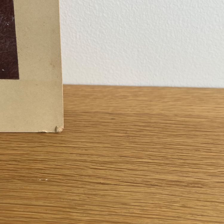Foto su carta albumina incollata su cartoncino raffigurante un pittore dilettante del XIX secolo