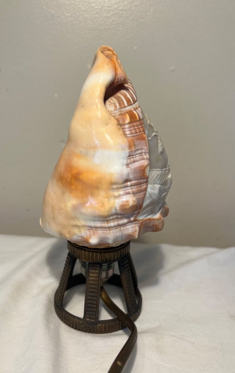 Seashell Nightlight