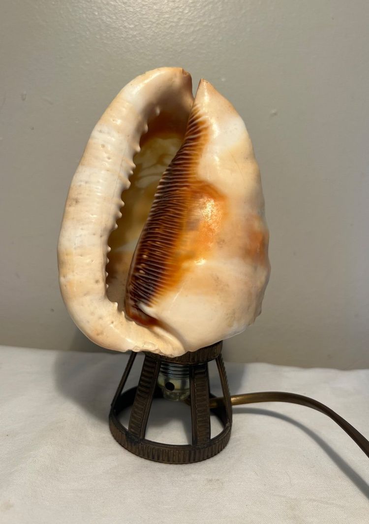 Seashell Nightlight