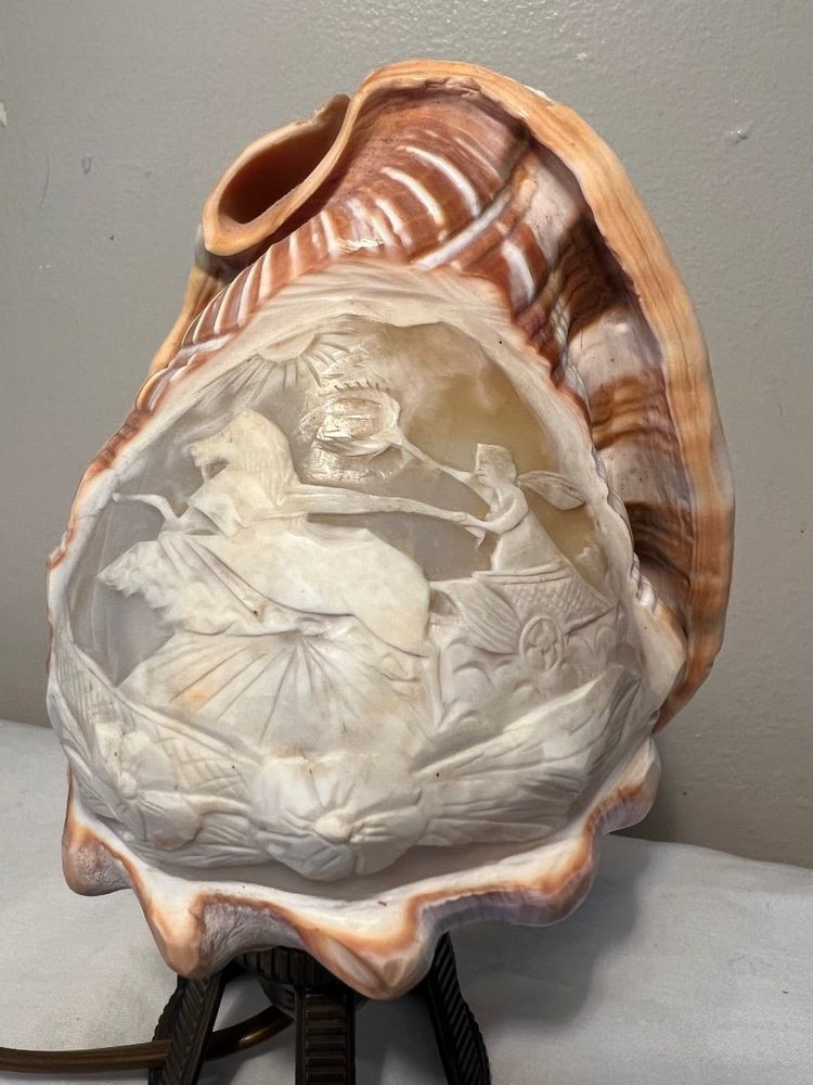 Seashell Nightlight