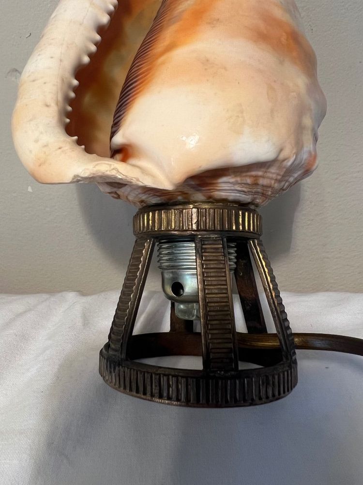 Seashell Nightlight