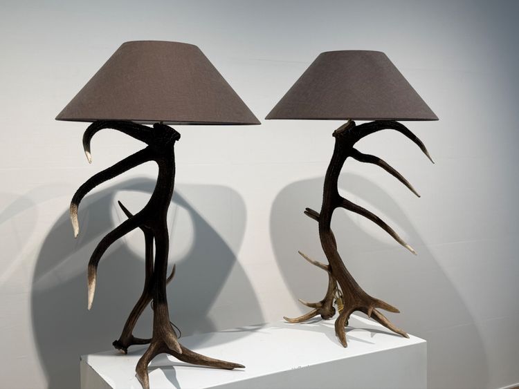 Paire de Lampadairs