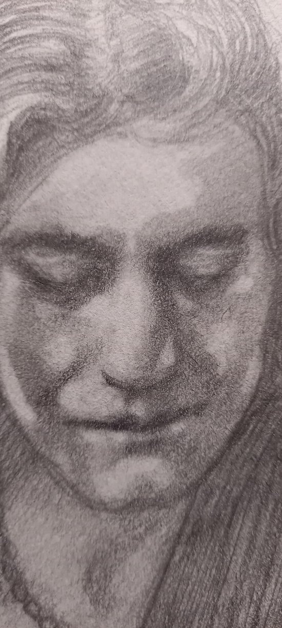 Portrait of Robert Plant