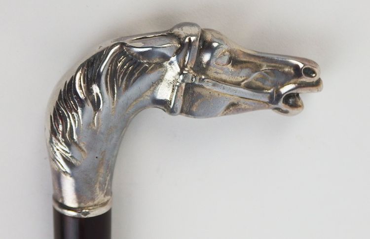 Canna con testa di cavallo