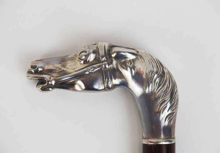 Canna con testa di cavallo