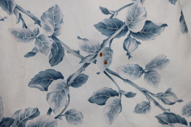 Coppia di tende in cotone con motivo floreale blu a rombi, lunghezza: 380 cm