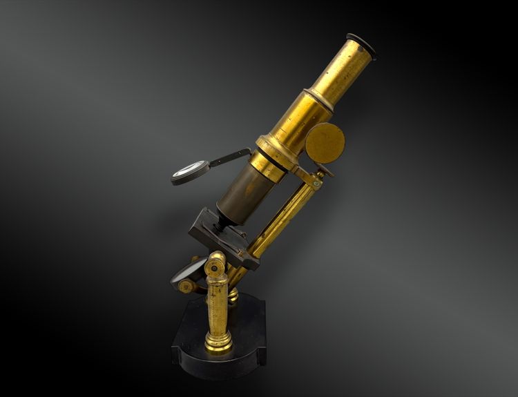 DOUBLE-COLUMN STUDY MICROSCOPE