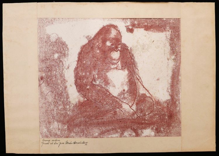 Mateo HERNÁNDEZ SÁNCHEZ, Orangutan