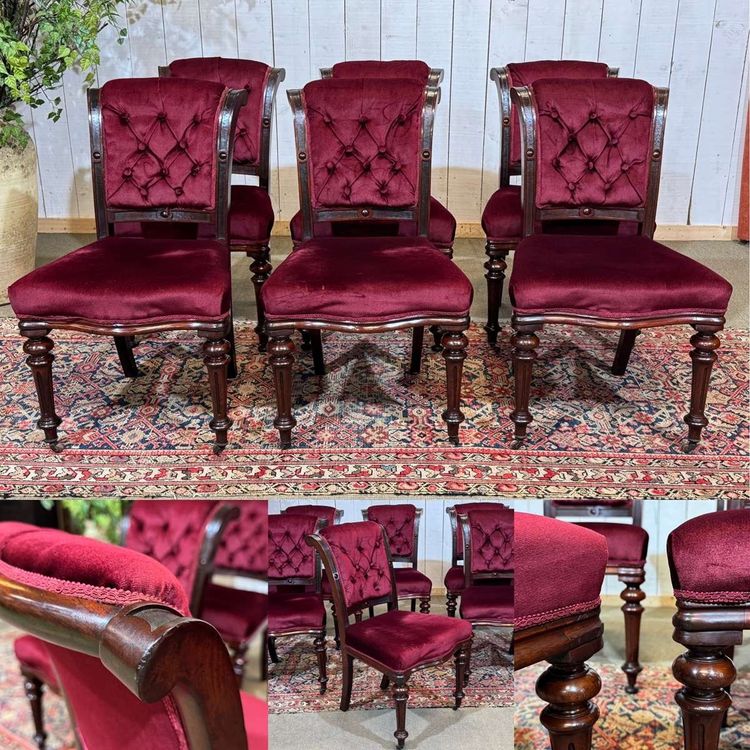 Suite de 6 chaises Victorienne XIXème en acajou