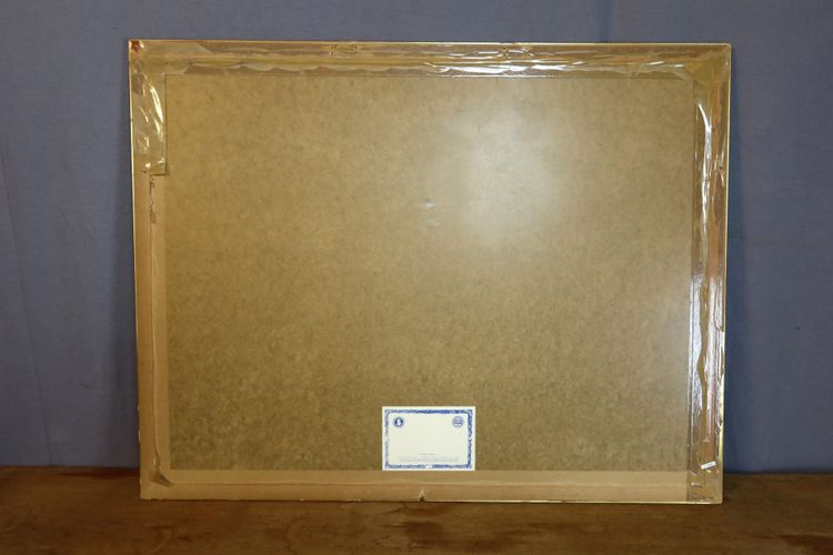 Grande gravure " l'Académie de l'Espée "