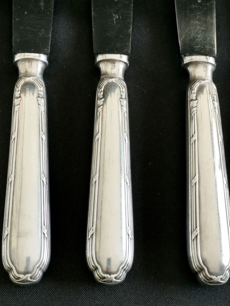 Set di 12 grandi coltelli da tavola Ercuis Trianon placcati in argento, in ottime condizioni, lama in acciaio inox da 24,5 cm.