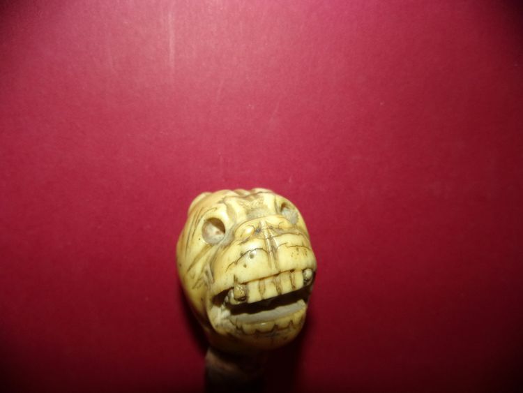 Walking cane, carved mastiff-head handle, 19th century.