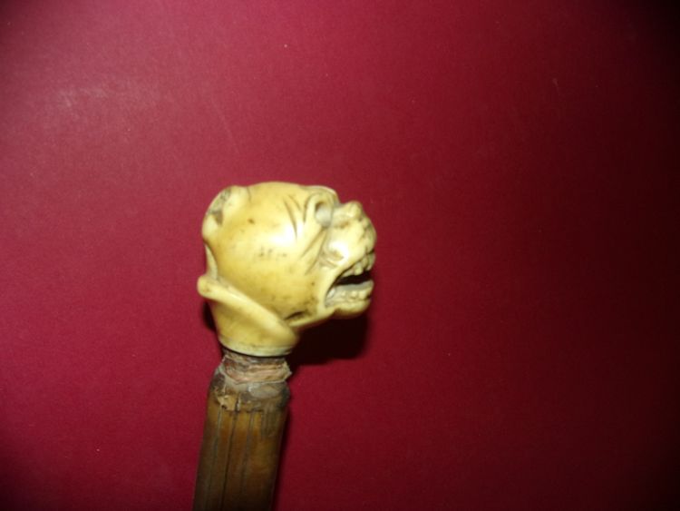 Walking cane, carved mastiff-head handle, 19th century.