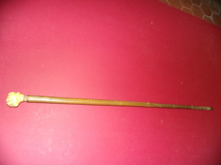 Walking cane, carved mastiff-head handle, 19th century.