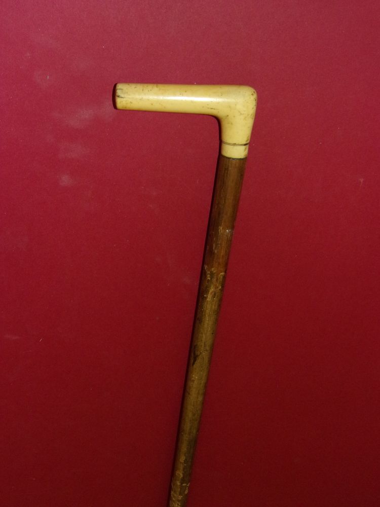 Bastone da passeggio con pomolo ricurvo, XIX secolo.