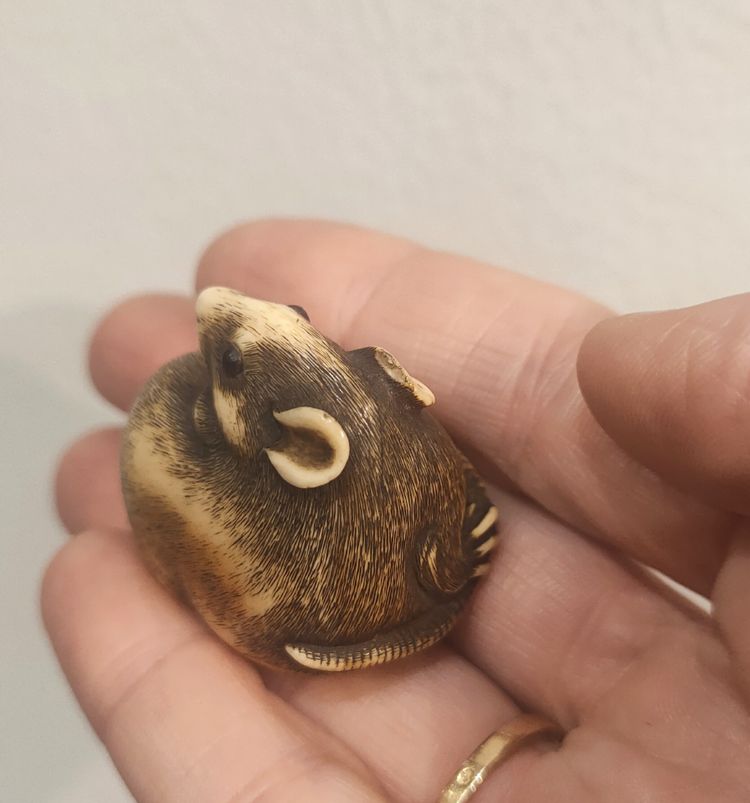 A Japanese ivory netsuke of a rat, Edo period