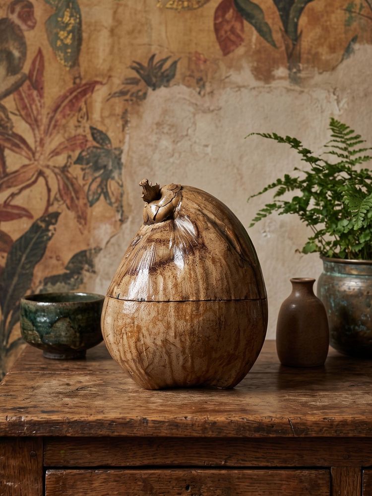 Curiosité boite vintage années 50-60 coco naturalisé seau à glaçons