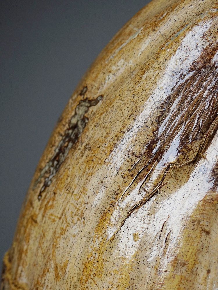 Curiosité boite vintage années 50-60 coco naturalisé seau à glaçons